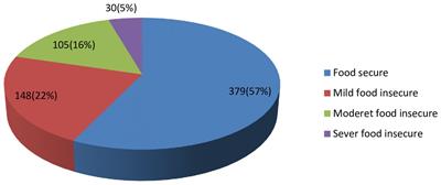 Double burden of malnutrition and associated factors among mother–child pairs at household level in Bahir Dar City, Northwest Ethiopia: community based cross-sectional study design
